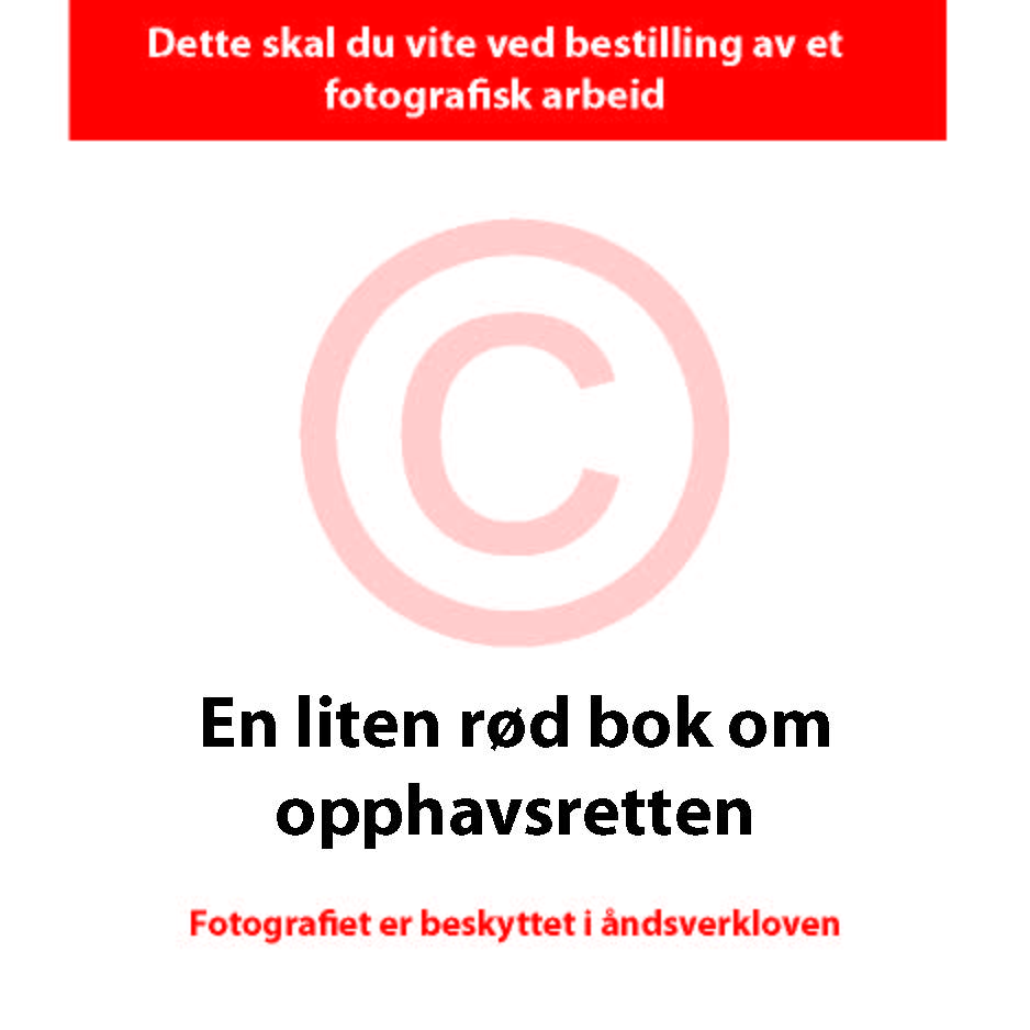 Lille rød bok om opphavsretten - Foto-norge